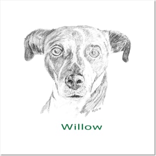 Willow! Posters and Art